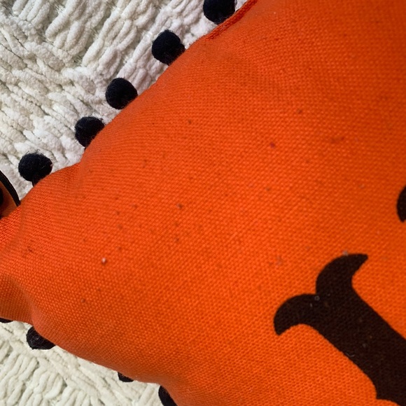 5 PIECE HALLOWEEN BUNDLE INCLUDES COLLECTORS ITEM - Picture 11 of 14